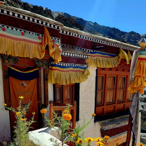 Ladakh8